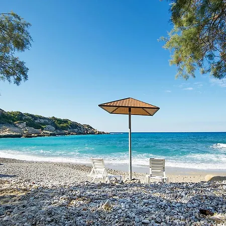 Joya Cyprus Starbright Garden