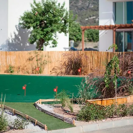Joya Cyprus Starbright Garden *